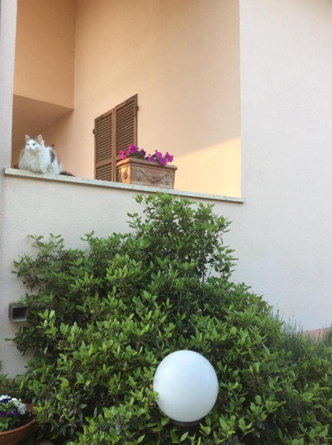 B&B Il Frassino Perugia Exteriör bild